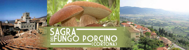 27ª Sagra del Fungo Porcino 2015 – Cortona (AR)