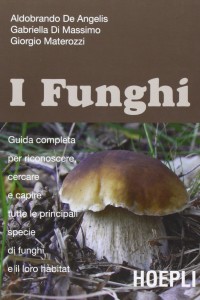 Guida ai funghi in Italia