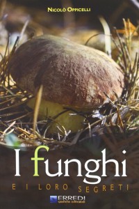 I funghi e i loro segreti